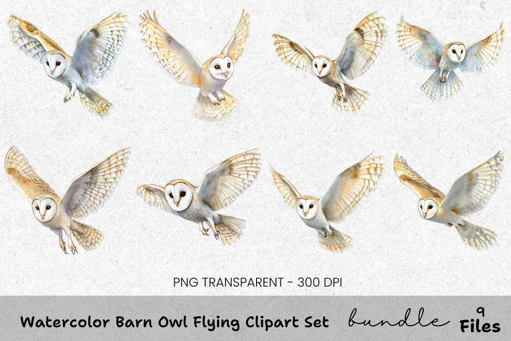 Barn Owl Flying Clipart Bundle