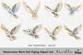 Barn Owl Flying Clipart Bundle