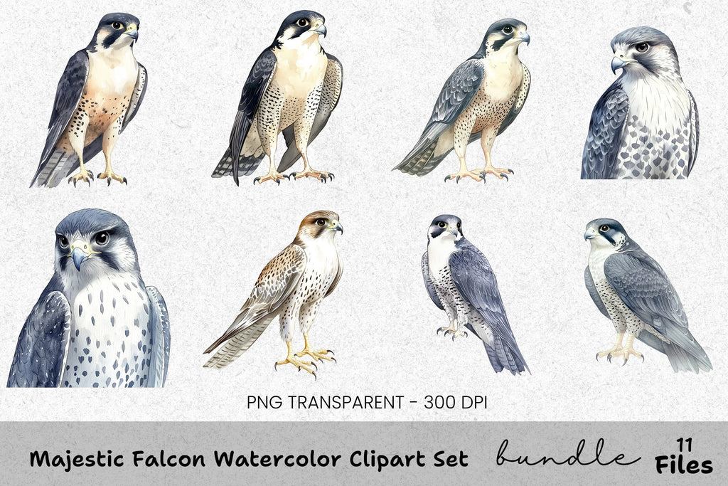 Majestic Falcon Clipart Bundle