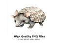 Cute Armadillo Clipart Bundle