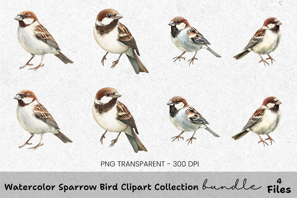 Sparrow Bird Clipart Bundle