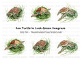 Sea Turtle in Seagrass Clipart Bundle
