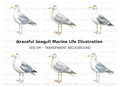Vibrant Seagull Clipart Bundle
