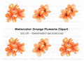 Orange Flower Clusters Clipart Bundle