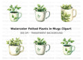 Potted Herb Mugs Clipart Bundle