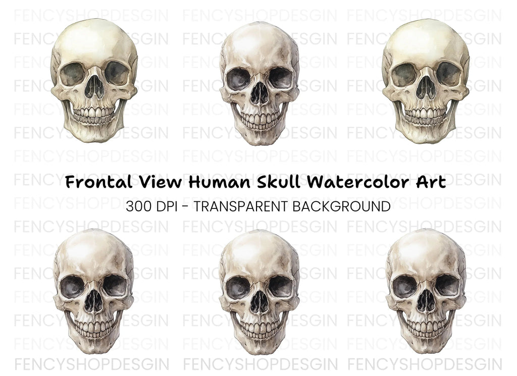 Detailed Human Skull Clipart Bundle