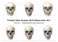Detailed Human Skull Clipart Bundle