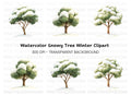 Winter Trees Clipart Bundle