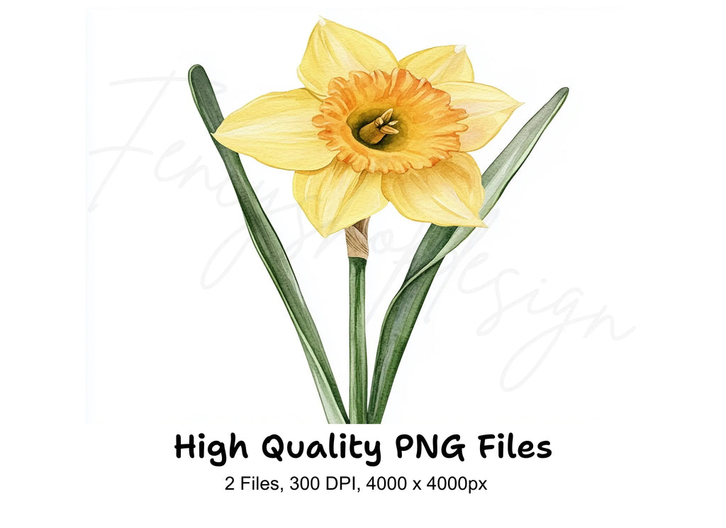 Elegant Daffodil Flower Clipart Bundle