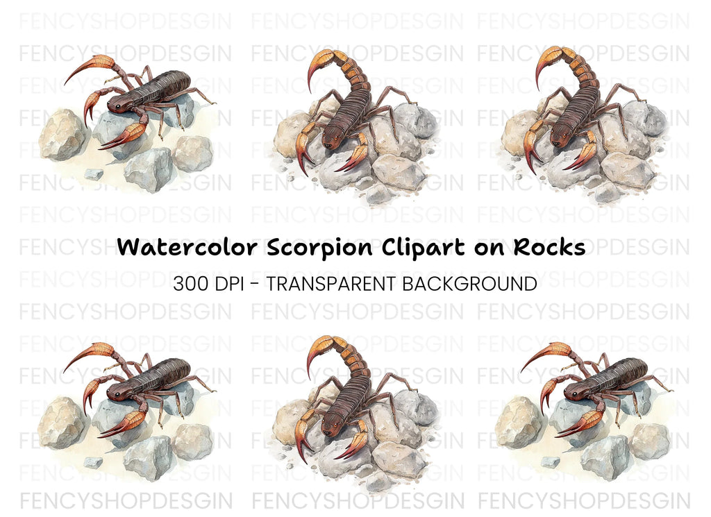 Scorpion on Rocks Clipart Bundle