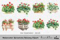 Geraniums Balcony Clipart Bundle