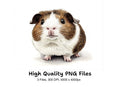 Brown and White Guinea Pig Clipart Bundle