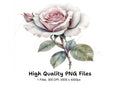 Elegant Pink and White Rose Clipart Bundle