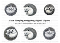 Cute Hedgehog Clipart Bundle