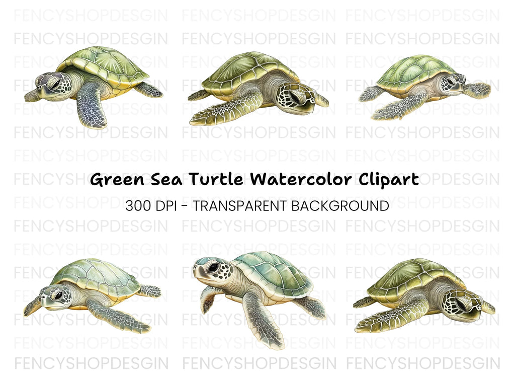 Green Sea Turtle Clipart Bundle