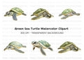 Green Sea Turtle Clipart Bundle