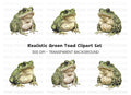 Toads Clipart Bundle