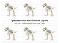 Rex Dinosaur Skeleton Clipart Bundle