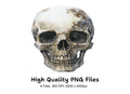 Skull Clipart Bundle