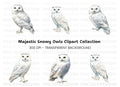 Elegant Snowy Owl Clipart Bundle