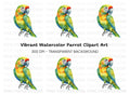 Vibrant Parrot Clipart Bundle