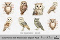 Cute Floral Owl Clipart Bundle
