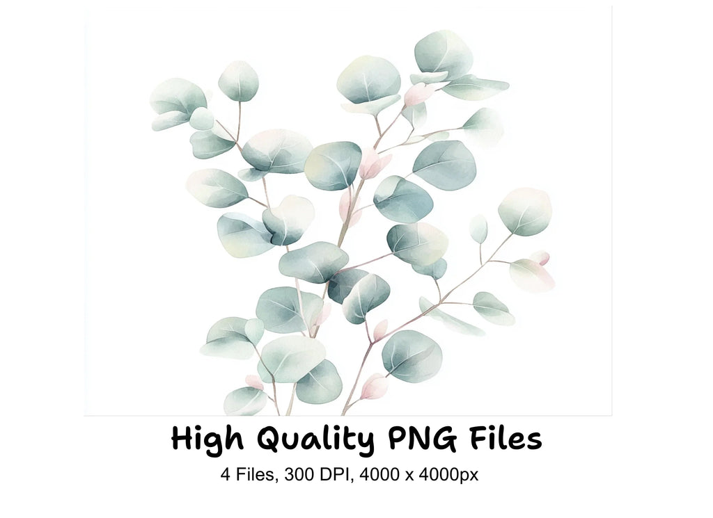 Soft Eucalyptus Leaves Clipart Bundle