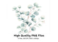 Soft Eucalyptus Leaves Clipart Bundle