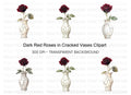 Dark Red Roses in Cracked Vases Clipart Bundle