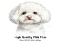 Bichon Frise Puppy Face Clipart Bundle