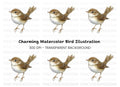 Charming Little Brown Bird Clipart Bundle