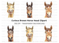 Realistic Horse Head Clipart Bundle