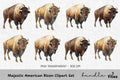 Majestic American Bison Clipart Bundle