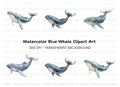 Humpback Whale Clipart Bundle