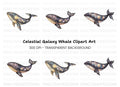 Celestial Whale Clipart Bundle