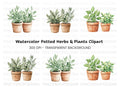 Potted Herbs Clipart Bundle