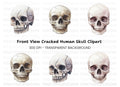 Skull Clipart Bundle