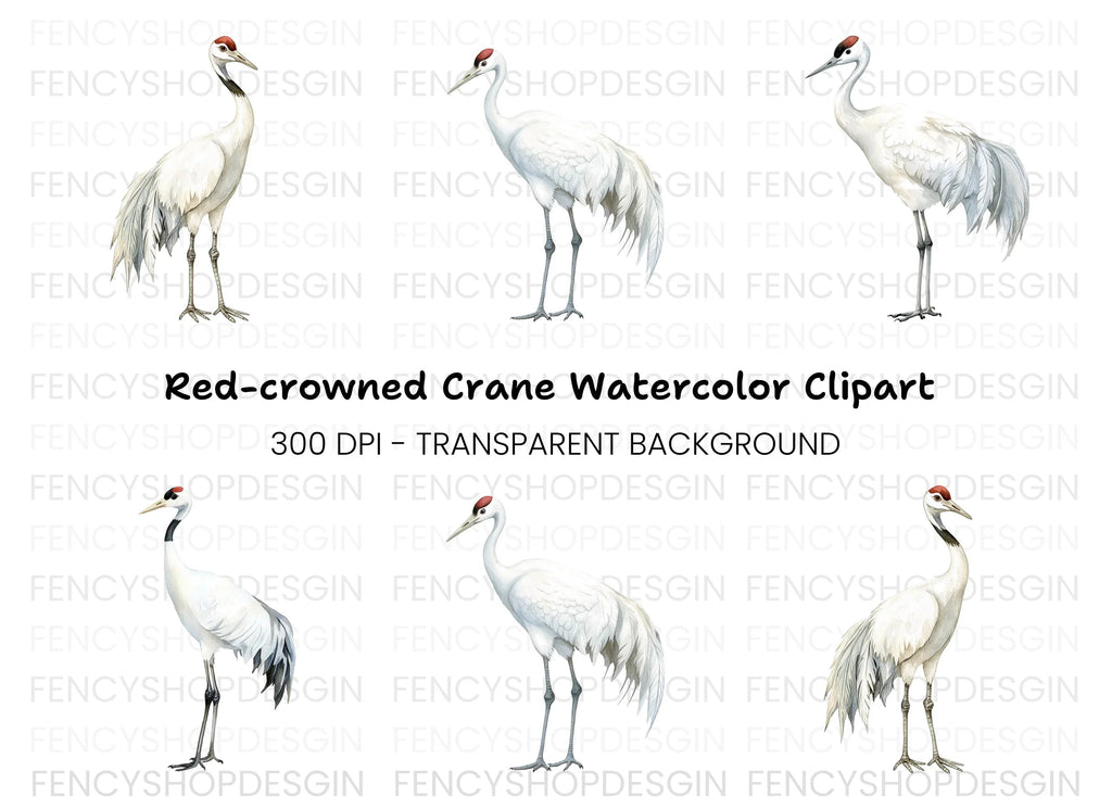 Majestic White Crane Clipart Bundle