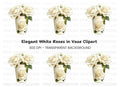 White Rose Vase Illustration Clipart Bundle