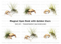 Crabs and Seaweed Clipart Bundle