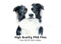Majestic Border Collie Portrait Clipart Bundle