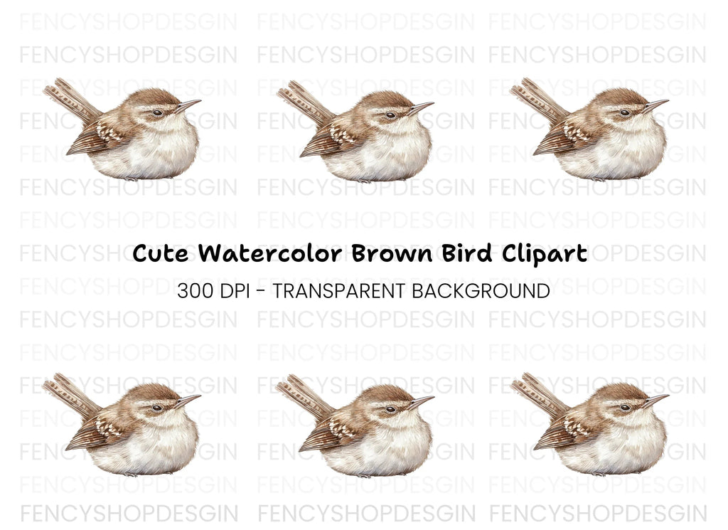 Cute Wren Bird Clipart Bundle