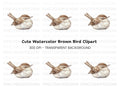Cute Wren Bird Clipart Bundle