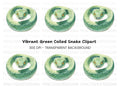 Green Snake with Yellow Eyes Clipart Bundle