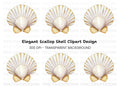 Elegant Scallop Shell Clipart Bundle
