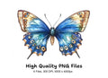 Butterfly Clipart Bundle