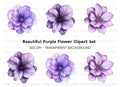 Vibrant Purple Geranium Clipart Bundle
