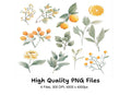 Citrus Greenery Clipart Bundle