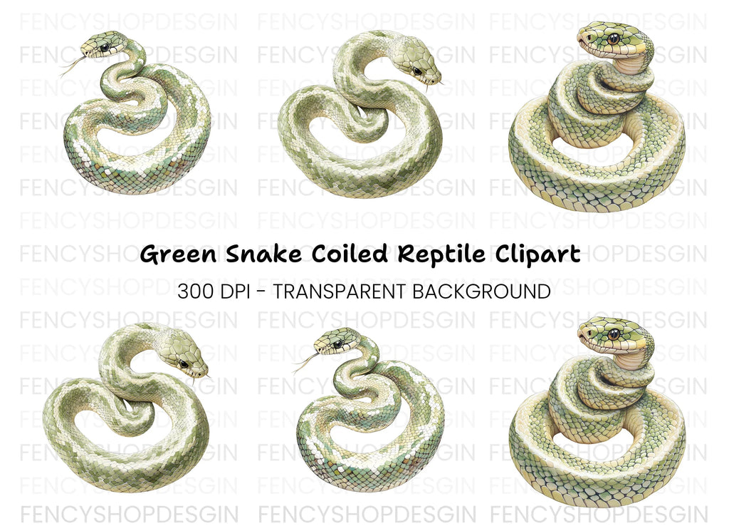 Green Tree Python Clipart Bundle