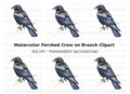 Black Raven Clipart Bundle
